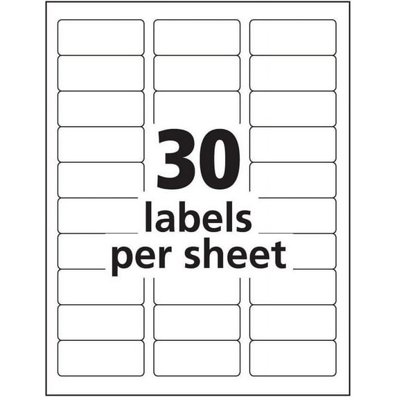 Address Labels, Inkjet Printers, White, 1 X 2-5/8 Inch, Box of 3000 Labels (100 Sheets / 30 Labels Per Sheet)
