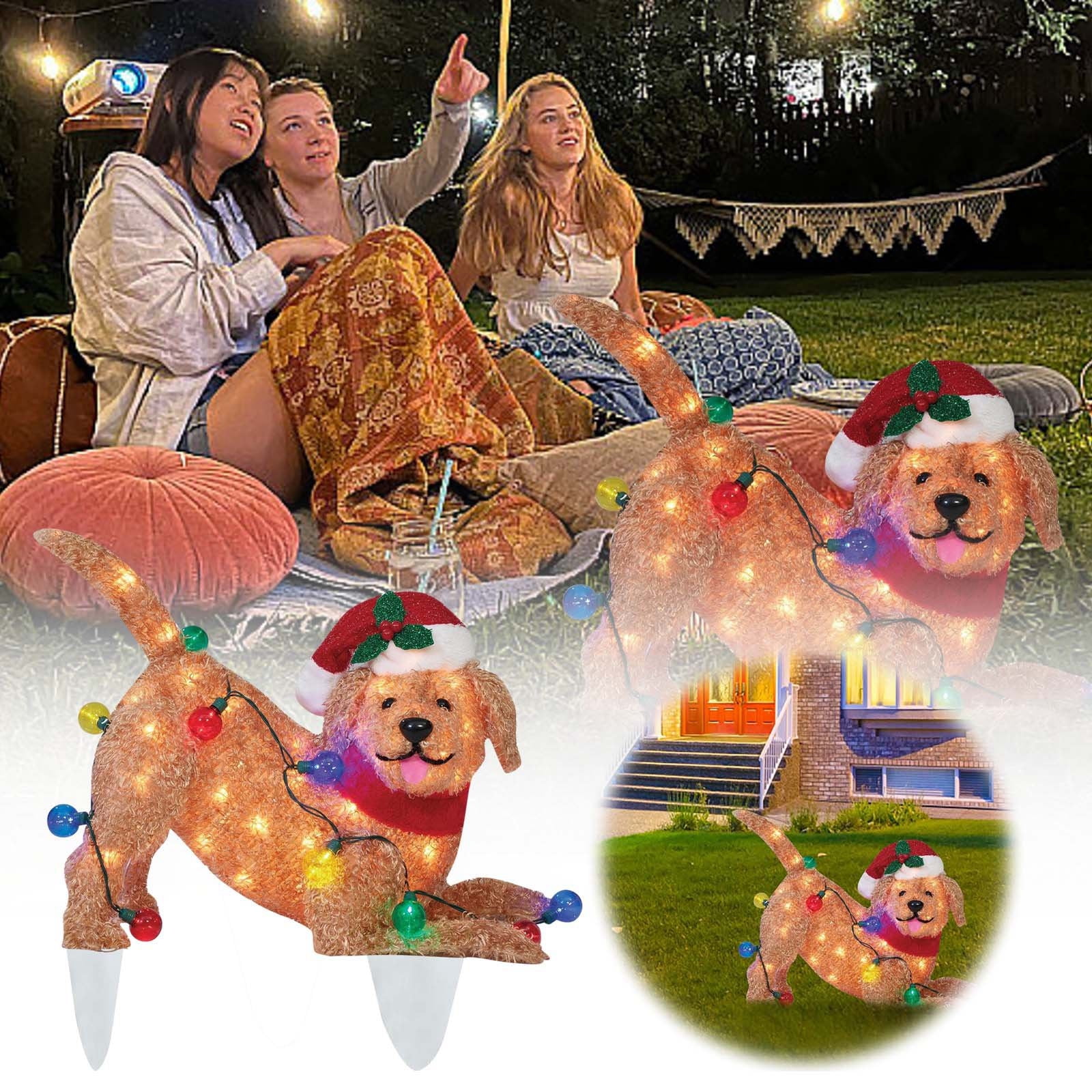 Address Numbers Plaque Modern Vintage Beware of Dog Sign Yard Number