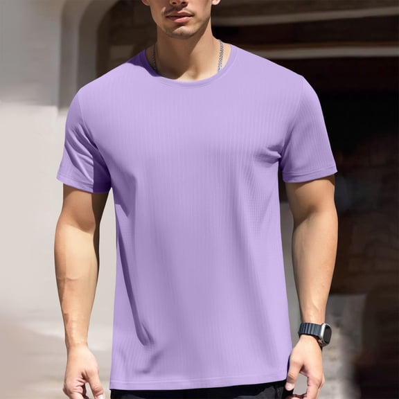 Adeawade Mens T Shirt Round Neck Tee Shirts Short Sleeve Summer Ice Silk Ice Short Sleeve Tops Soft Wear Purple M