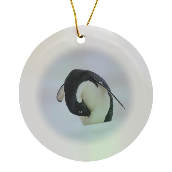 3drose, Adelie Penguin, Colored Snow Due to Algae in the Ice, Antarctica., Circle Porcelain Ornament