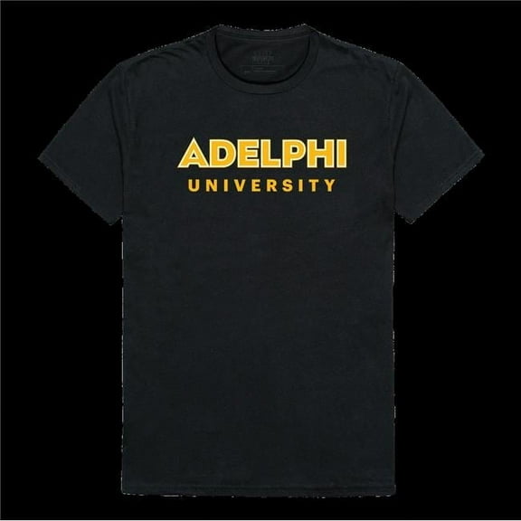 Adelphi University Panthers Institutional T-Shirt, Black - Medium