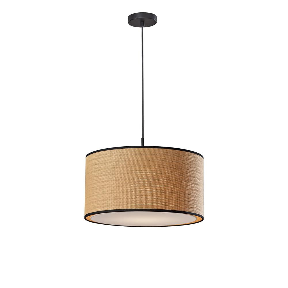 Black Brass Drum Pendant Light with LED and Incandescent Options