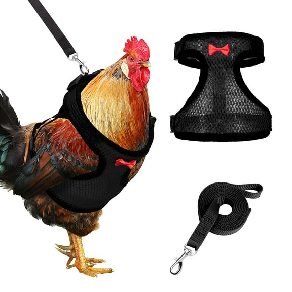 Adhafera Chicken Harness with Leash, Upgraded Double Adjustment Chicken Harness and Leash Set for Hens, Duck, Goose, Small Pet