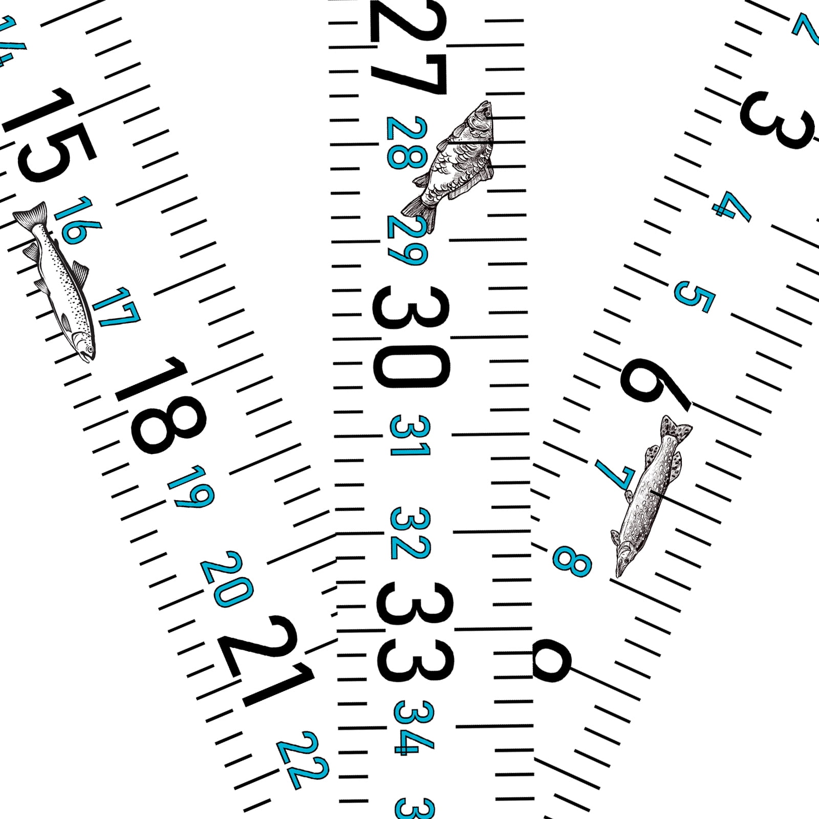 Adhesive Fish Ruler 3 Pack 51 Inch Fish Measuring Tape Sticker Tape ...