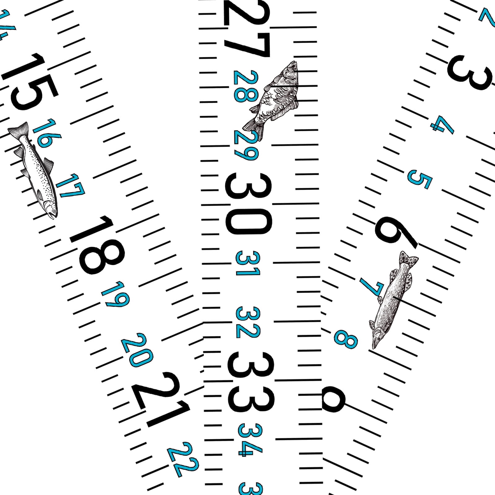 Adhesive Fish Ruler 3 Pack 51 Inch Fish Measuring Tape Sticker Tape ...