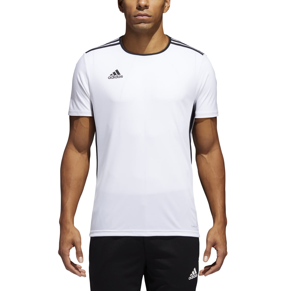 adidas entrada shirt