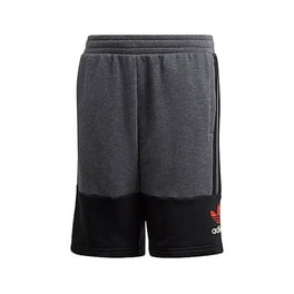PUMA Youth Boy's 2 Pack Shorts (X-Large(18/20), Black/Grey