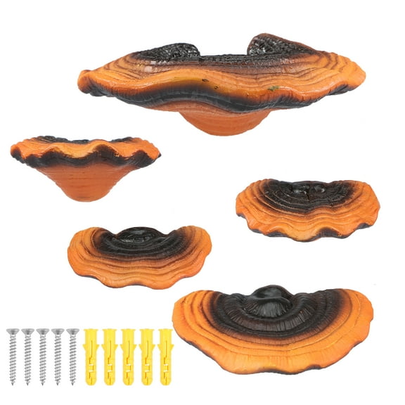 Adifare 5 Pcs Mushroom Hanging Shelf Resin Mushroom Floating Shelves Reishi Shaped Mushroom Shelf Wall Decor for Bedroom Cottage Core Corner Wall Decor Gecko Reptile Tank Accessories