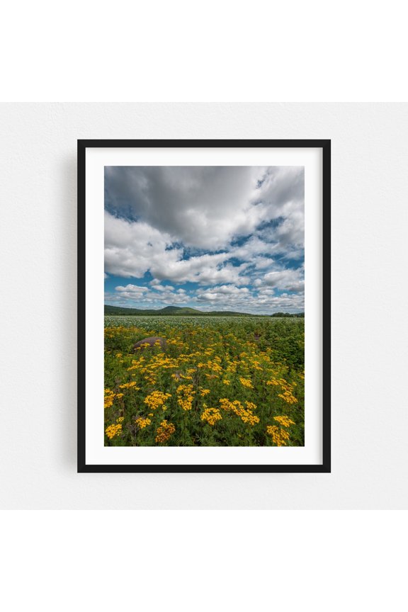 Adirondack Field - Paul Smiths New York Photography Black Framed Wall Art Print 30 x 40 inches