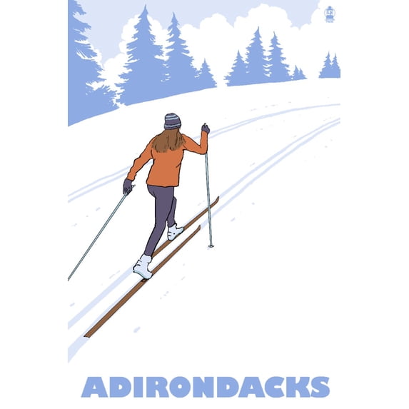 Adirondack Mountains, New York, Cross Country Skier (16x24 Giclee Gallery Art Print, Vivid Textured Wall Decor)