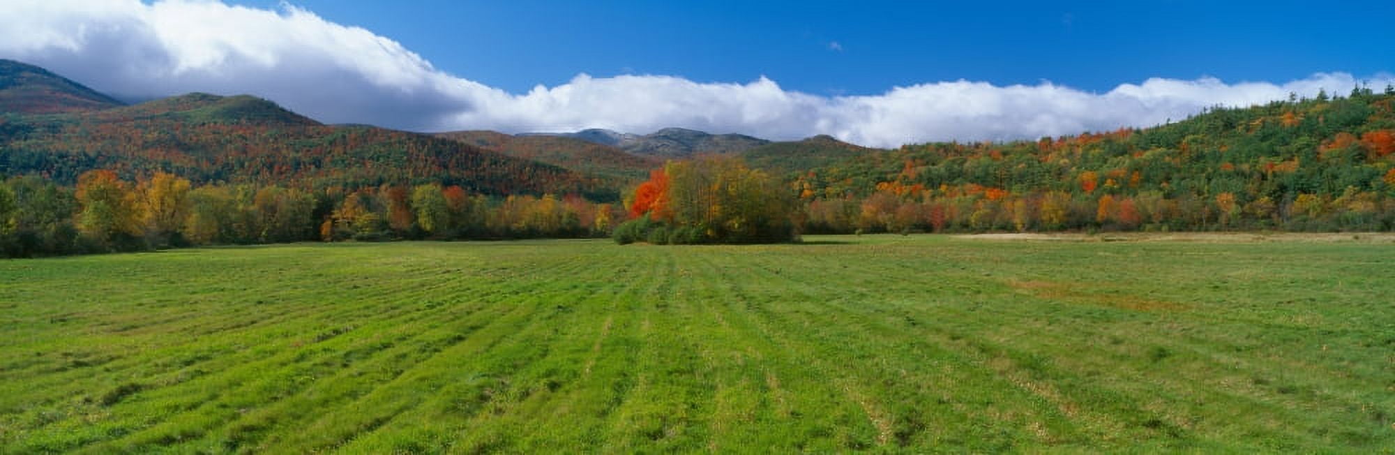 Adirondack Mountains Upper State New York Canvas Art - Panoramic Images (36 x 12)