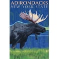 thumbnail image 1 of Adirondacks, New York, Moose at Night (24x36 Giclee Gallery Art Print, Vivid Textured Wall Decor), 1 of 3
