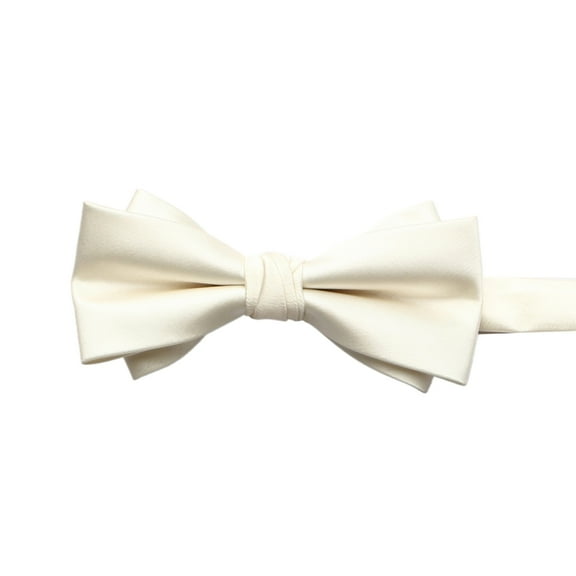 Adjust Bowtie for Business Event Wedding Tie Male Shirt Tie Neckwear