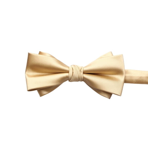 Adjust Bowtie for Business Event Wedding Tie Male Shirt Tie Neckwear