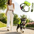 thumbnail image 1 of Adjustable Backpack‑Style Pet Harness For Small Pets, Lightweight Breathable Harness With Storage Pockets For Outdoor Travel Camping Daily Walks, 1 of 5