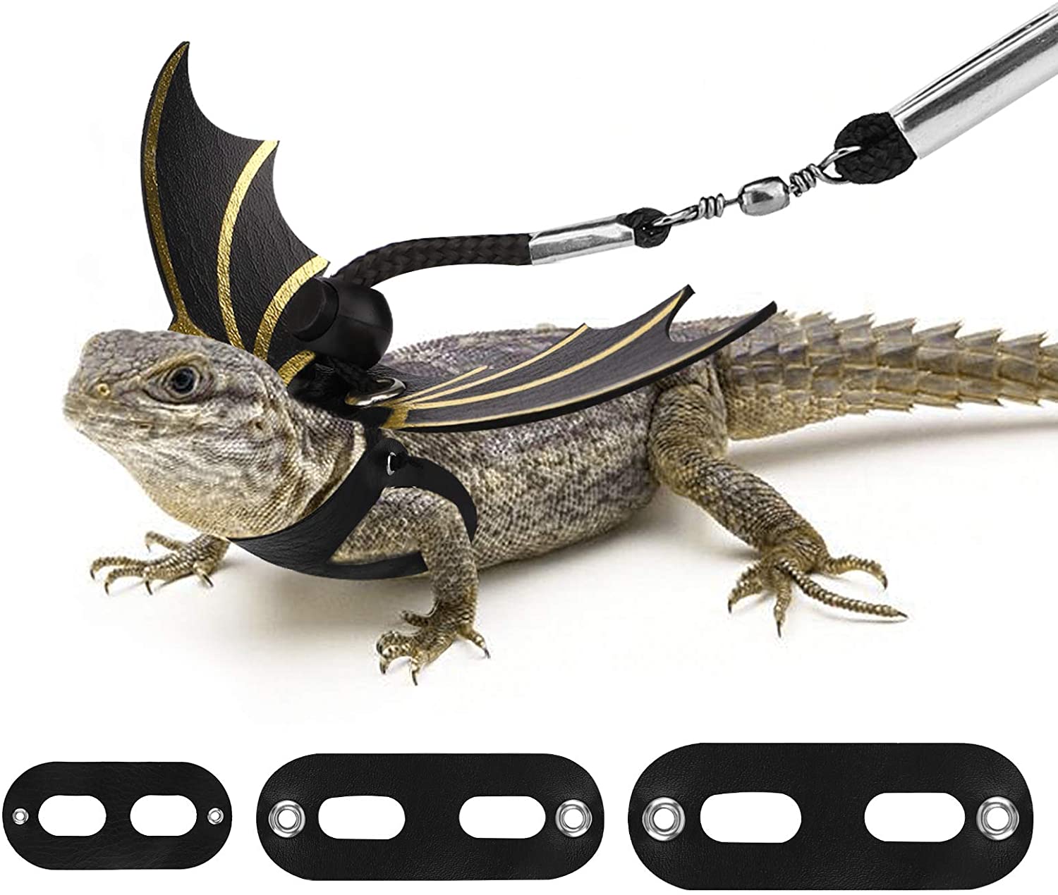 Baby bearded dragon leash hotsell