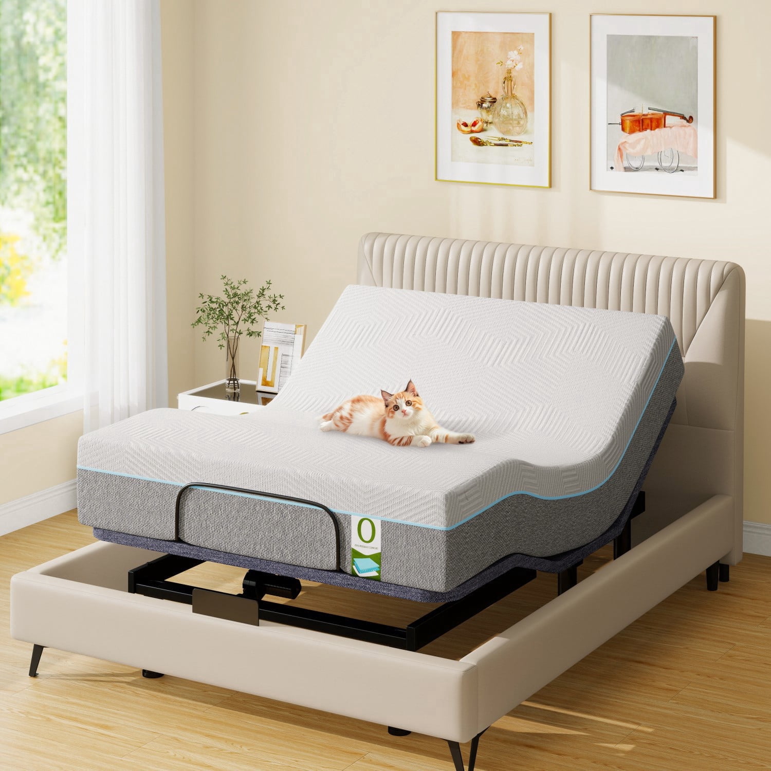 【naomi】電動ベッド Naomi Home Serenity 15