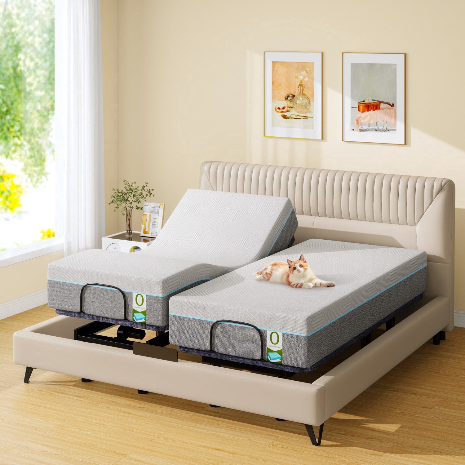Base Split Adjustable Bed Base Split King Massage with 12