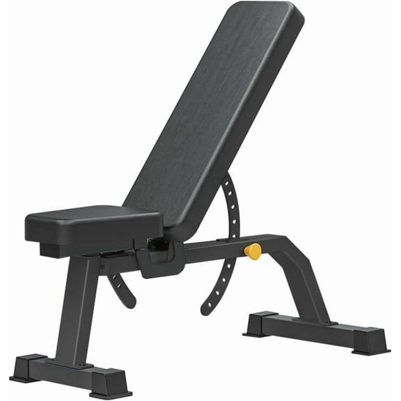 Adjustable Bench, Professional Weight Bench, Incline Flat Decline Sit Up Bench,Dumbbell Stool