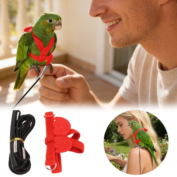 Adjustable Bird Flight Harness Leash For Parrots Secure Pet Bird Training Leash For Outdoor Activities(Red-Xl-36Cm)