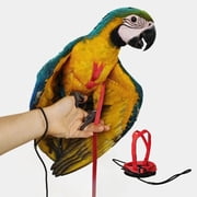 Adjustable Bird Harness with 78.7 Inch Leash, Outdoor Flying Training Rope Kit for Bird Parrots, Parrot Flying Rope Straps Outdoor Training Traction Rope for Small Medium Large Size Birds XL