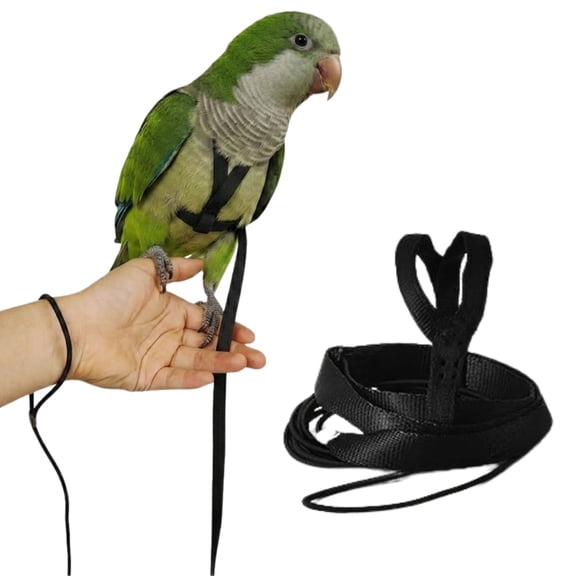 Adjustable Bird Harness and Leash for Parrots Outdoor Flight Training Anti-Bite Light Weight Easy-to-Wear Bird Vest with 59 Inch Elastic Leash for Quaker Conure African Grey Macaw Cockatoo