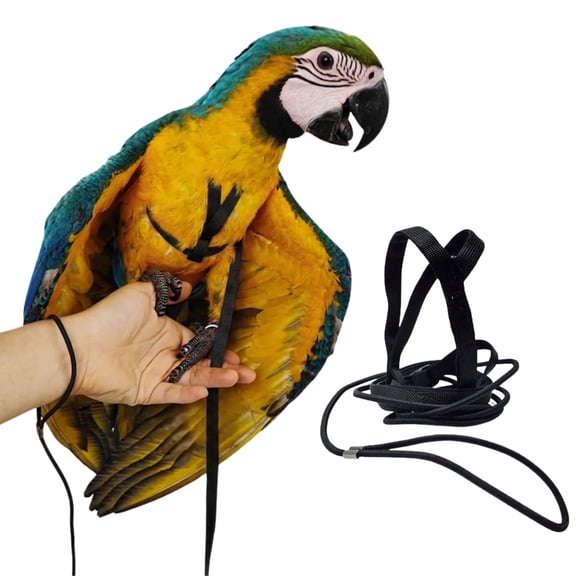 Adjustable Bird Harness and Leash for Parrots Outdoor Flight Training Anti-Bite Light Weight Easy-to-Wear Bird Vest with 59 Inch Elastic Leash for Quaker Conure African Grey Macaw Cockatoo