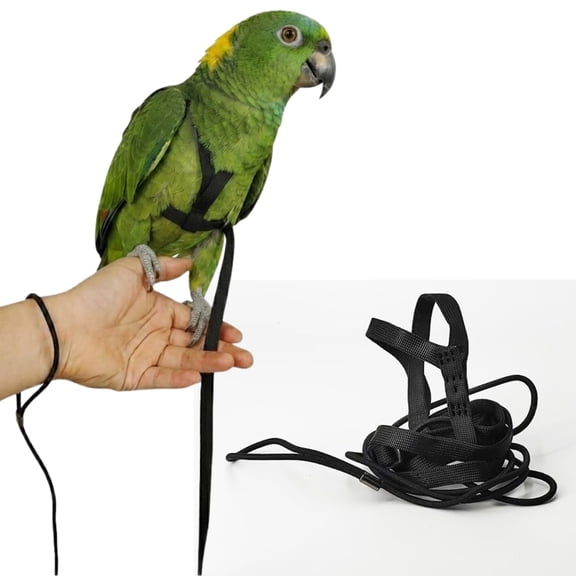 Adjustable Bird Harness and Leash for Parrots Outdoor Flight Training Anti-Bite Light Weight Easy-to-Wear Bird Vest with 59 Inch Elastic Leash for Quaker Conure African Grey Macaw Cockatoo