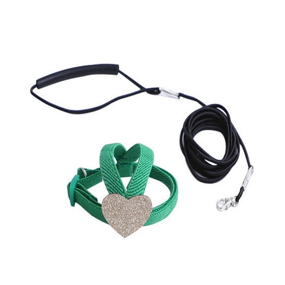 Adjustable Bird Harness with 80 Inch Leash, Outdoor Flying Kit Training Rope for Birds Parrots Cockatiel