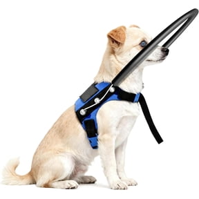 LetPetRun Adjustable Blind Dog Halo Harness, Protective Collar & Guiding Device, Safe Navigation Aid for Blind Dogs (XXS, 7.5-9.5 in)
