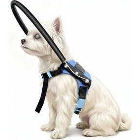 Adjustable Blind Dog Halo Harness with Protective Ring, Guiding Aid for Visually Impaired Pets,10.5-14.5 in