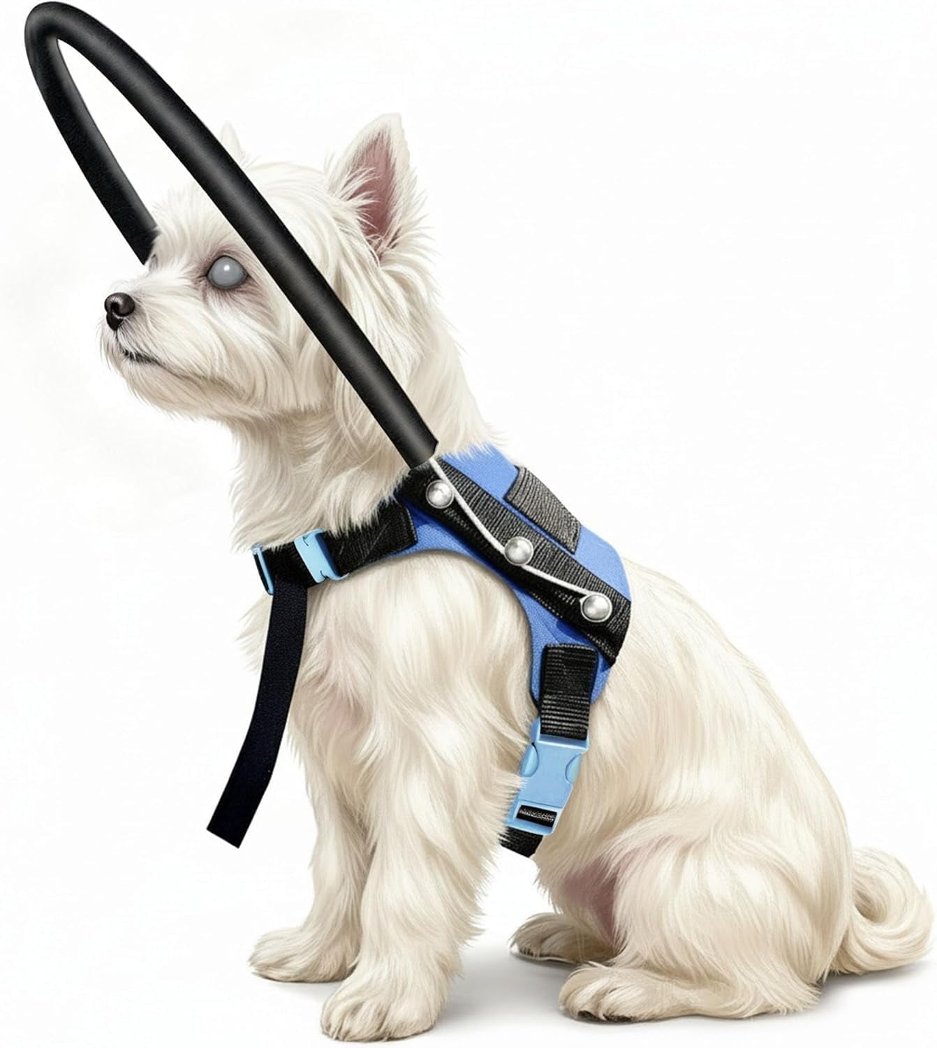 Adjustable Blind Dog Halo Harness with Protective Ring, Guiding Aid for Visually Impaired Pets, 8.5–12.5 in