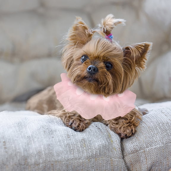 Adjustable Breathable Pet Bandana Collar with Lace Trim Elegant Apparel for Small Dogs and Cats