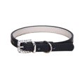 thumbnail image 1 of Adjustable Cat Collar - Solid Color Faux Leather Puppy Collar for Outdoor Adventures, 1 of 8