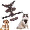thumbnail image 1 of Adjustable Cat Harness and Leash Set Escape Proof Vest Breathable Mesh Reflective Pet Harness with 59 in Nylon Lead for Cats Kittens Puppies Small Dogs Outdoor Walking Training M Size, 1 of 9