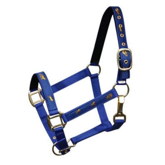 Adjustable Cob Size Neoprene Lined Nylon Halter w/ "Running Horse" Overlay (Blue)