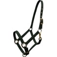 thumbnail image 1 of Adjustable Cob Size Triple Ply Nylon Halter (Green), 1 of 1