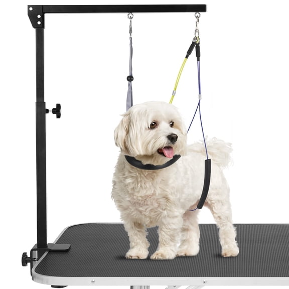 Adjustable Dog Arms With Anti-slip Metal Clamp Portable Pet Arm For Table 1 Loop Noose & Two No Sit Haunch Holder Restraint Small Medium Dogs/cats At Home