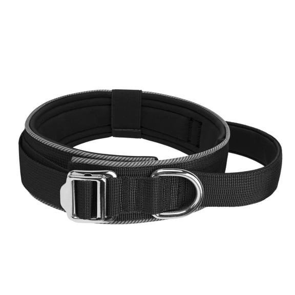 Adjustable Dog Collar For Night Soft Padded Nylon Pet Training Collar Reflective with Handle