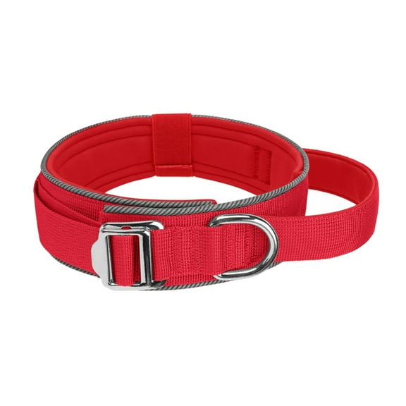 Adjustable Dog Collar For Night Soft Padded Nylon Pet Training Collar Reflective with Handle
