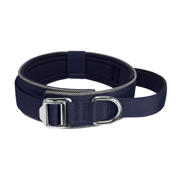 Adjustable Dog Collar For Night Soft Padded Nylon Pet Training Collar Reflective with Handle