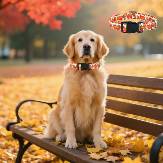 Adjustable Dog Collar And Leash Set With Safety Locking Buckle Durable Nylon Pet Collars For Medium Dogs Comfortable Outdoor Training Walking Accessories