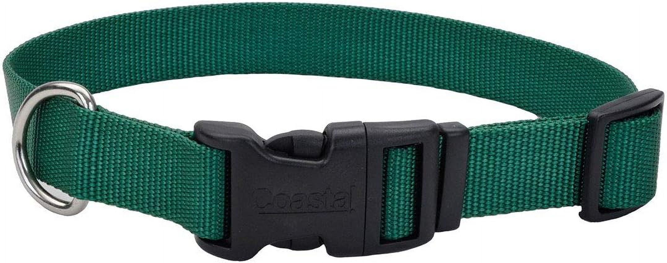 Hundehalsband Hamilton Hamilton Adjustable Combo Choke Hundehalsband   Dunkelgrn, Gre Medium, 3/4 Zoll Breit, 18-26 Zoll Verstellbar Hunde- Halsband Combo Choke