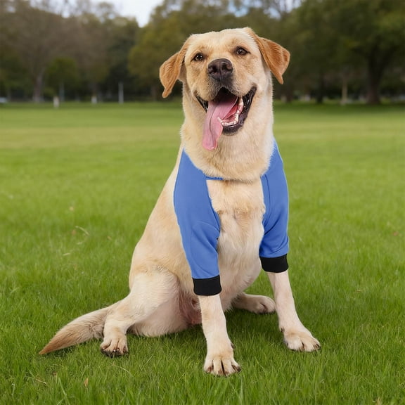 Adjustable Dog Front Leg Support Brace, Soft Canine Joint Wrap with Elbow Pads, Breathable Recovery Sleeves for Small Dogs, Post-Injury Rehabilitation Gear, Winter Warmth Protector for Front Legs