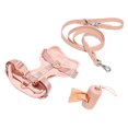 thumbnail image 1 of Adjustable Dog Harness, Leash and Poop Bag Holder Set, No Pull Pet Harness for Small Medium Large Dogs, Outdoor Walking, Soft Padded Vest Harness (Soft Pink, Medium), 1 of 5