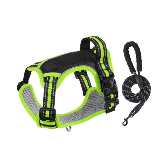 Adjustable Dog Harness Leash Set, Two-Tone Soft Padded Pet Vest & Lead, No-Pull Control & Comfortable Walking For Small Dogs (S/M, One Size For Most)