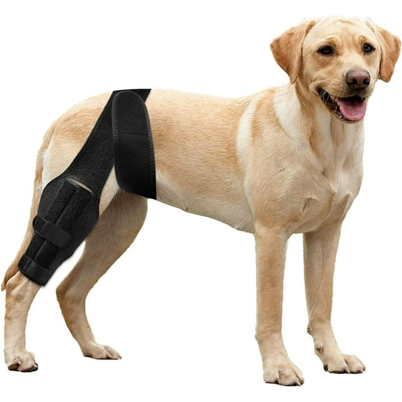 Adjustable Dog Knee Brace for ACL & Cruciate Ligament Support - Relief for Joint Pain, Muscle Soreness & Knee Cap Dislocation - Breathable Neoprene Leg Brace (M)