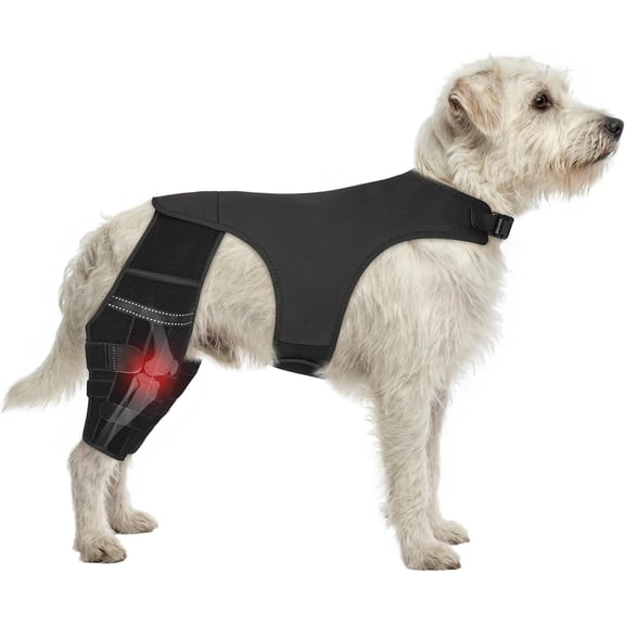 Adjustable Dog Knee Brace for ACL Tear and Arthritis Recovery - Dual Hind Legs Support with Harness Connection - Orthopedic Leg Wrap for Joint Stability and Pain Relief in Small to Large Dogs (XS)