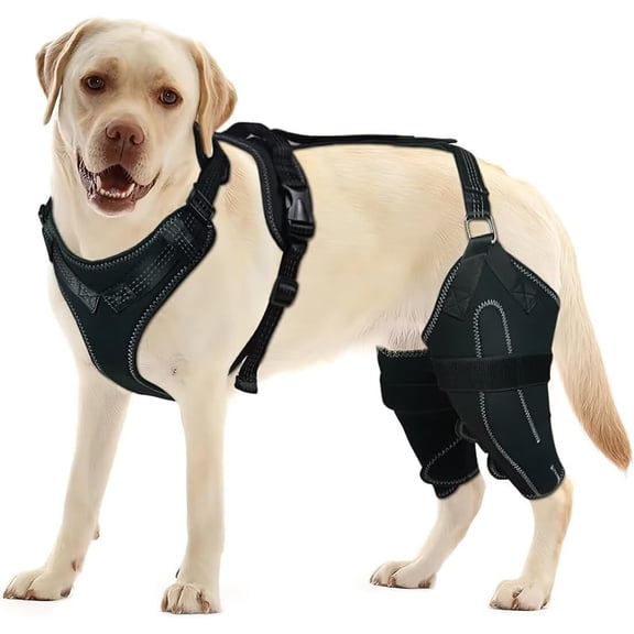 Adjustable Dog Knee Brace, Non-Slip Support for Torn ACL/CCL & Luxating Patella, Pain Relief for Hind Leg Recovery