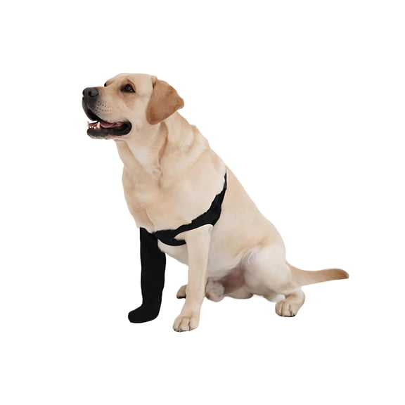 Adjustable Dog Knee Brace with Stabilizers - ACL/CCL Pain Relief & Recovery Support | Breathable Neoprene Brace Universal Fit for Front & Back Legs | For Dogs Post-Surgery & Daily Care